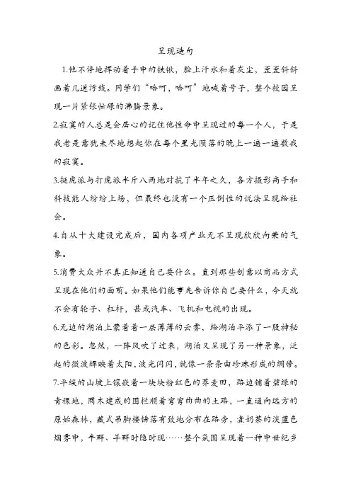 呈现造句 .doc