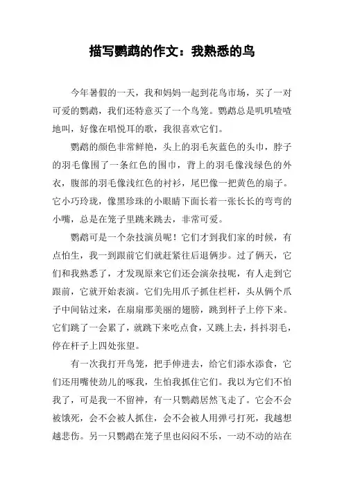 描写鹦鹉的作文：我熟悉的鸟