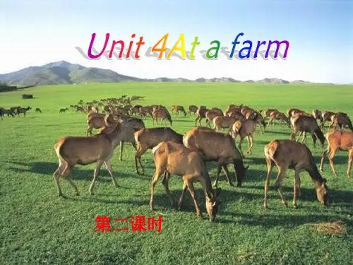 人教版(PEP)四年级英语下册Unit4 At the farm第二课时优质课课件 (3)