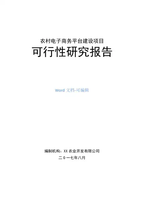 农村电子商务平台建设项目可行性研究报告