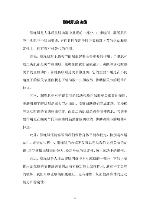 腘绳肌的功能