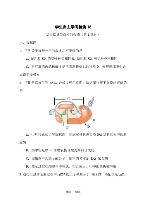 人教版高中生物必修第2册 基因指导蛋白质的合成(第1课时)课后作业