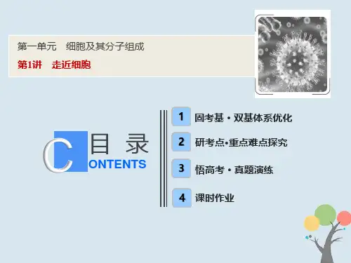 2019版高考生物一轮复习第一单元细胞及其分子组成第1讲走近细胞课件新人教版