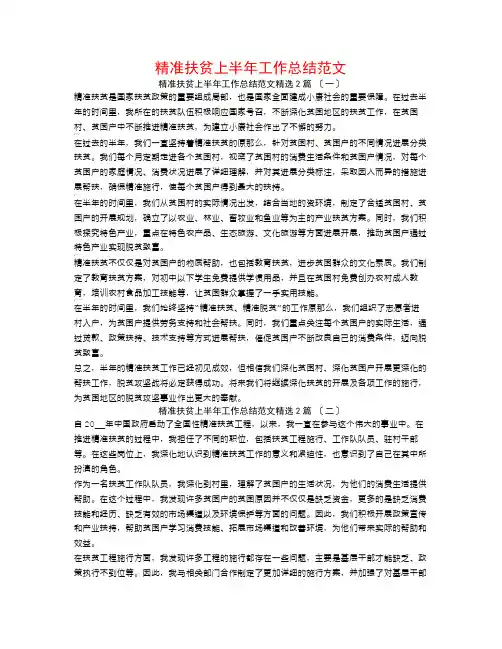 精准扶贫上半年工作总结范文2篇