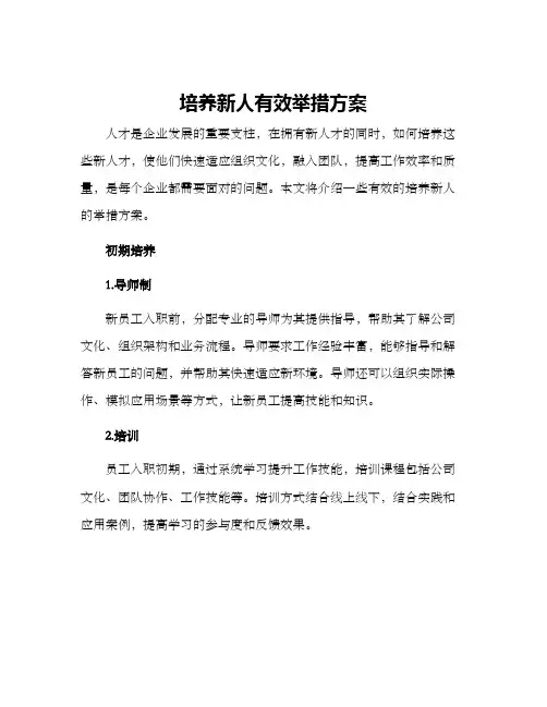培养新人有效举措方案