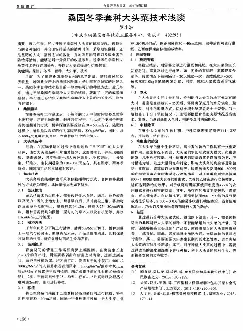 桑园冬季套种大头菜技术浅谈
