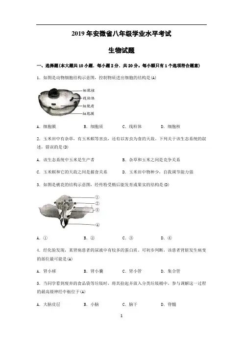 【生物】2019年安徽省中考试题(word版-含答案)