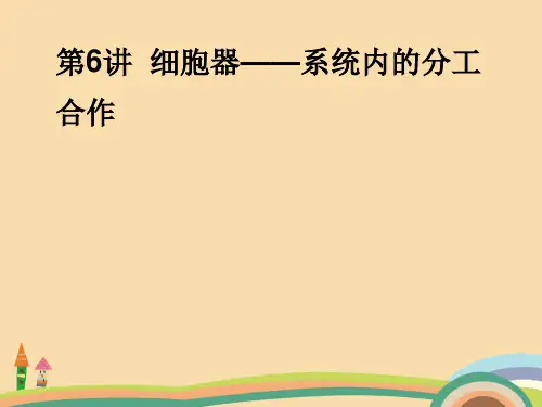 高三生物细胞器复习PPT教学课件