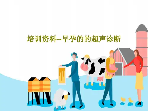 培训资料--早孕的的超声诊断共29页文档