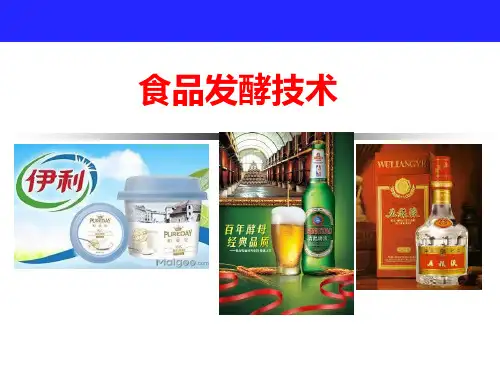 食品发酵技术复习提纲