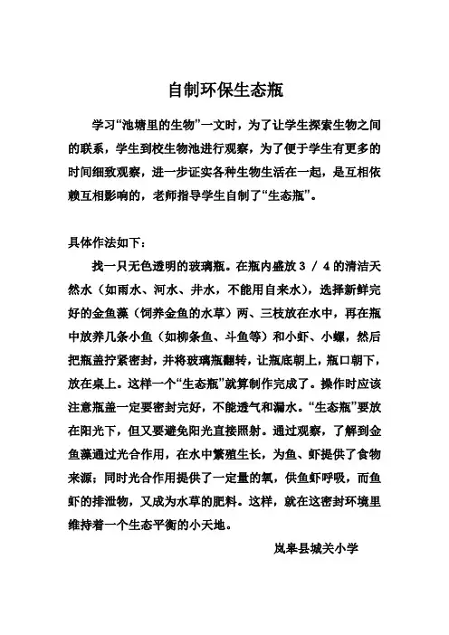 自制生态瓶