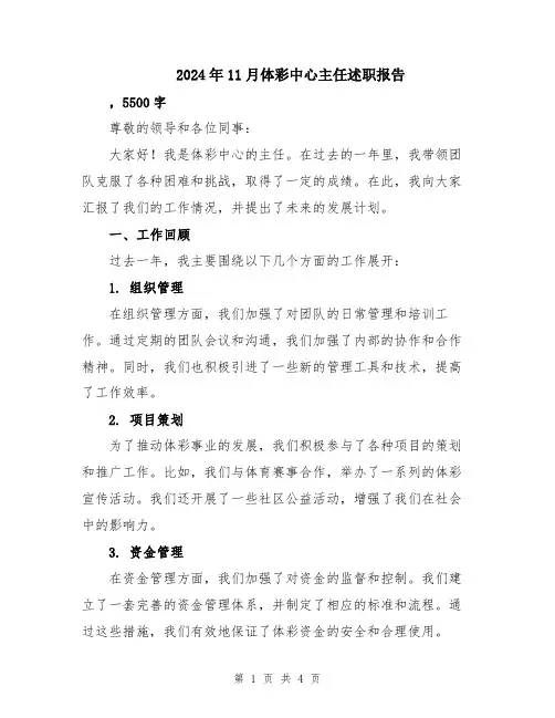 2024年11月体彩中心主任述职报告