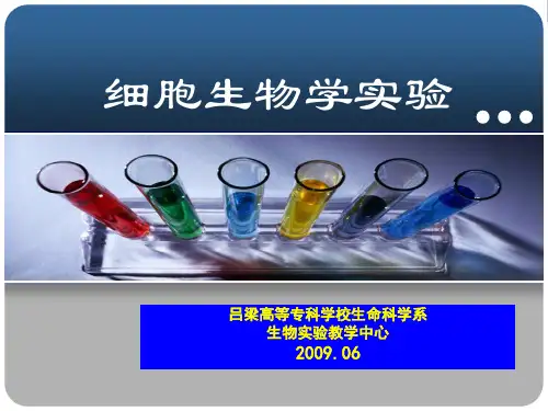 《细胞生物学实验》PPT课件