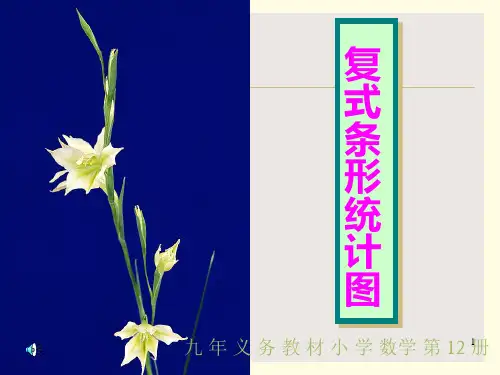 复式条形统计图PPT优选课件