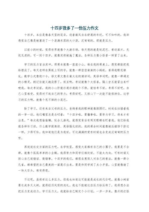 十四岁我多了一份压力作文