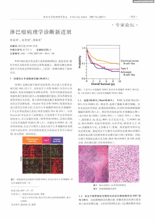 淋巴瘤病理学诊断新进展