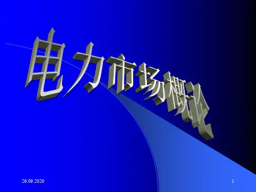 电力市场概论PPT课件
