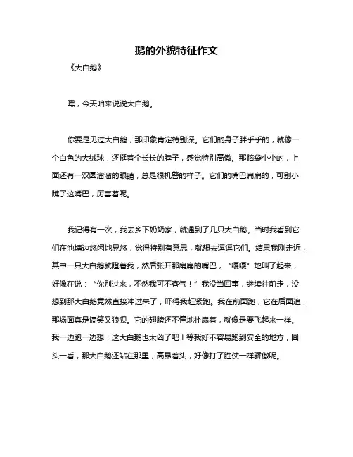 鹅的外貌特征作文