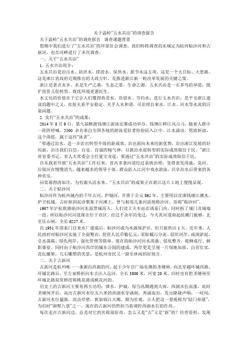 关于温岭“五水共治”的调查报告