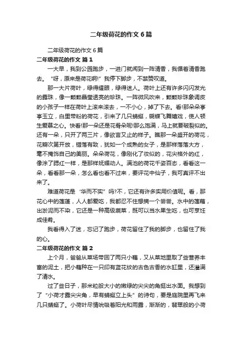 二年级荷花的作文6篇