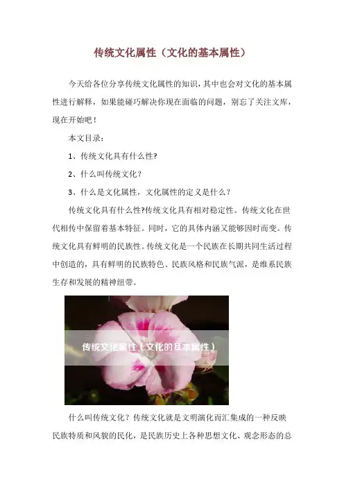 传统文化属性(文化的基本属性)