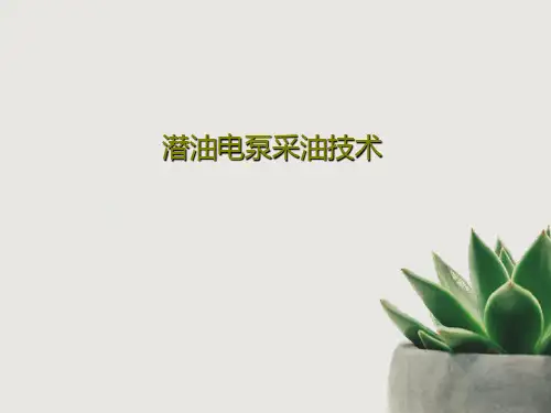 潜油电泵采油技术共126页