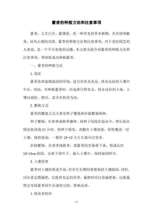 藿香的种植方法和注意事项