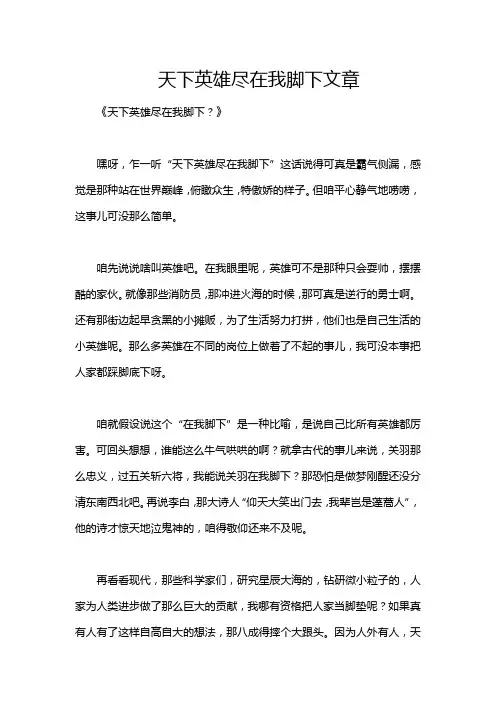 天下英雄尽在我脚下文章