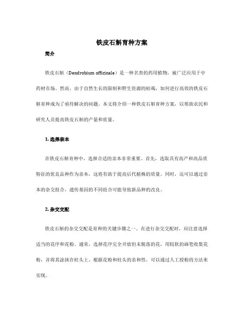 铁皮石斛育种方案