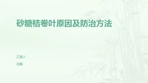 砂糖桔卷叶原因及防治方法