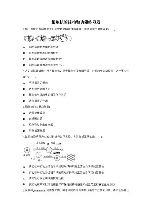 2019届高考生物一轮复习对点精选训练：细胞核的结构和功能(含解析)