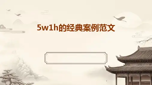 2024版5w1h的经典案例范文