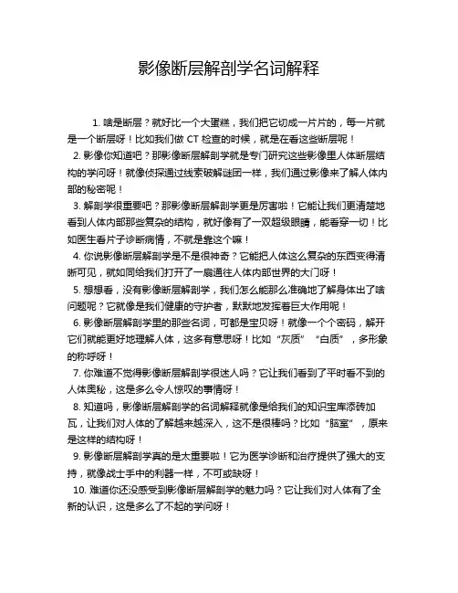 影像断层解剖学名词解释