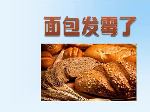 教科版四年级科学下册3食物5面包发霉了课件3