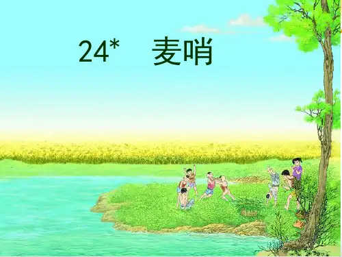 小学四下24《麦哨》完美版PPT课件