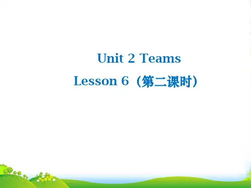 北师大八年级英语上册Unit 2 Teams—6 A Special Team 第2课时课件