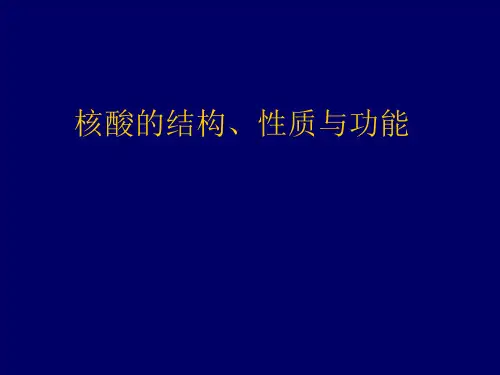 核酸的结构、功能与性质