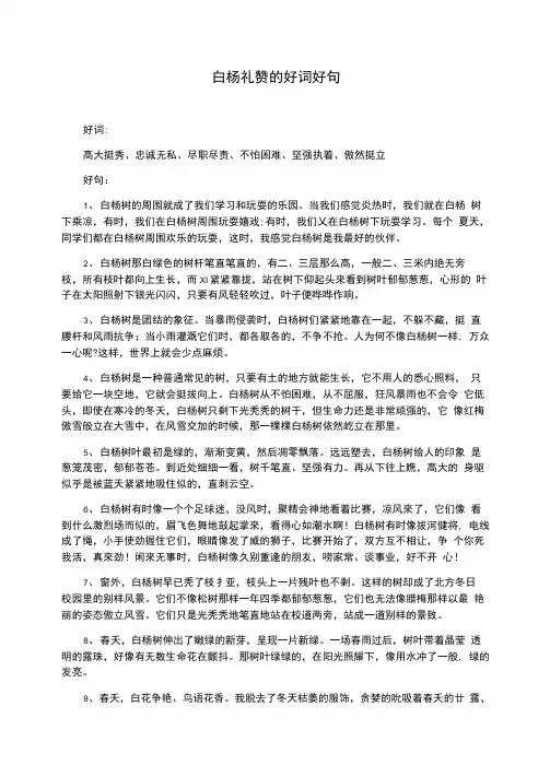 白杨礼赞的好词好句