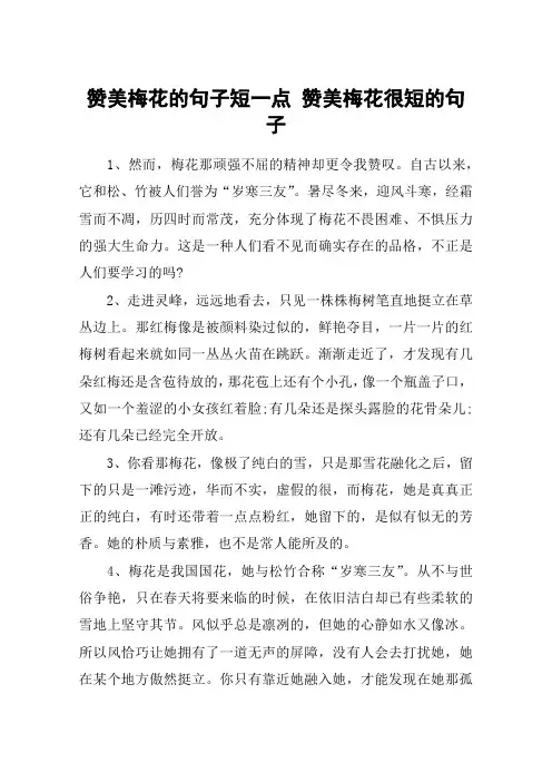 赞美梅花的句子短一点 赞美梅花很短的句子