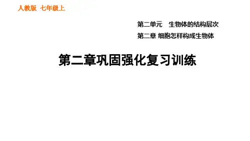 人教版七年级上册生物习题课件 第二单元 第二章巩固强化复习训练