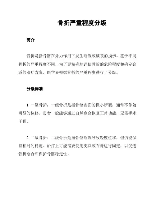 骨折严重程度分级