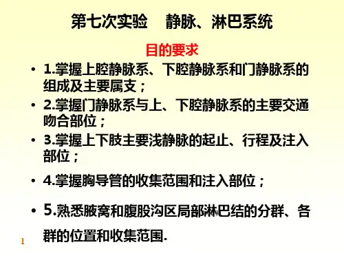 静脉、淋巴PPT课件