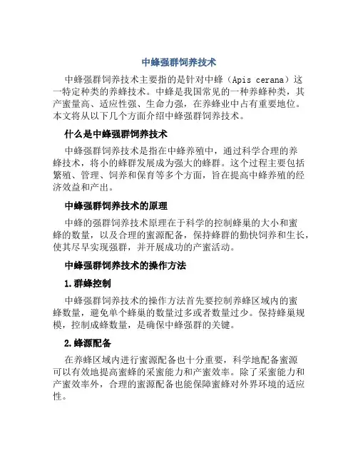 中蜂强群饲养技术