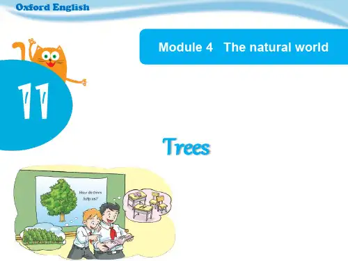 【上海教育版】六年级英语上册：Unit 11《Trees》(Period 2)ppt课件