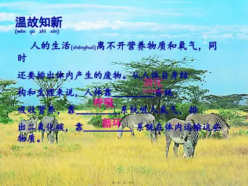 七年级生物下册 第四单元 第四章 第一节 流动的组织—血液