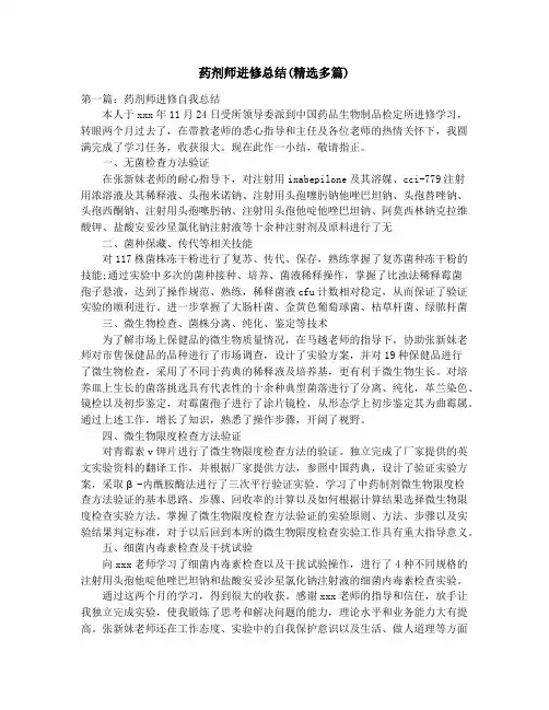 药剂师进修总结(精选多篇)_药剂科上半年工作总结及下半年工作计划