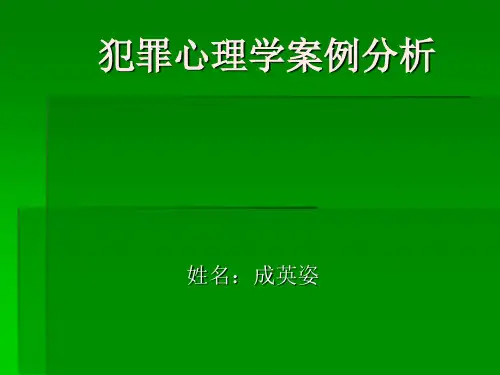 犯罪心里学案例分析杨新海案例