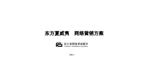 东方夏威夷网络营销方案