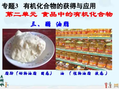 中小学优质课件酯与油脂课件.ppt