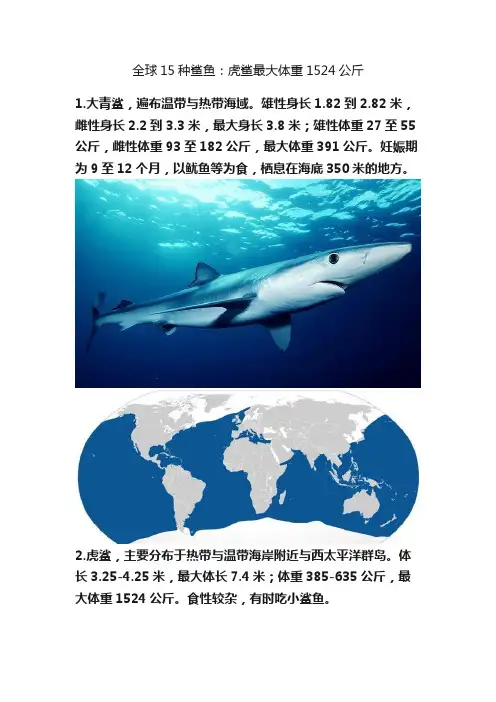 全球15种鲨鱼：虎鲨最大体重1524公斤